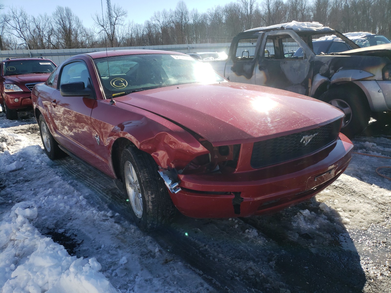 FORD MUSTANG 2009 1zvht80n395145308