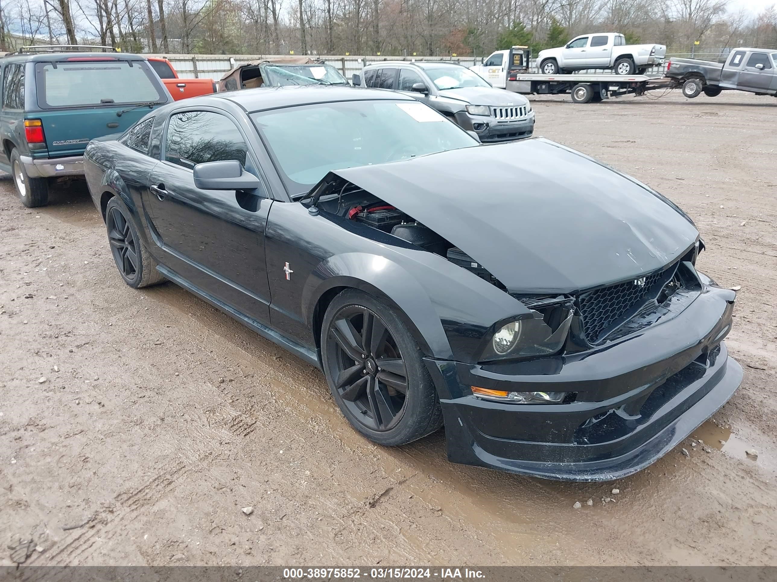 FORD MUSTANG 2008 1zvht80n485182057