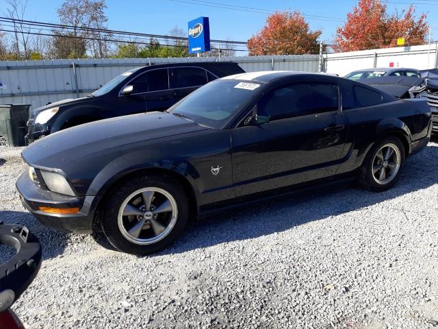 FORD ALL MODELS 2009 1zvht80n495100474