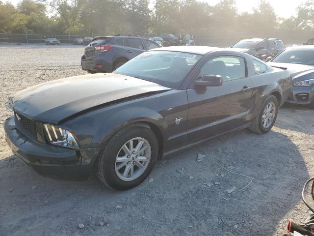 FORD MUSTANG 2009 1zvht80n495110809