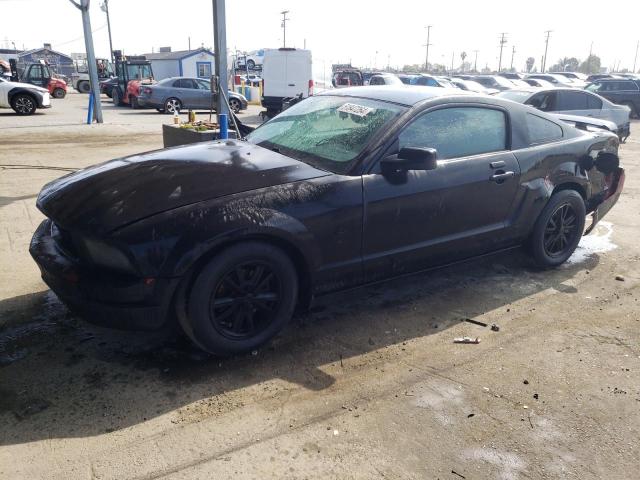 FORD MUSTANG 2005 1zvht80n555196156