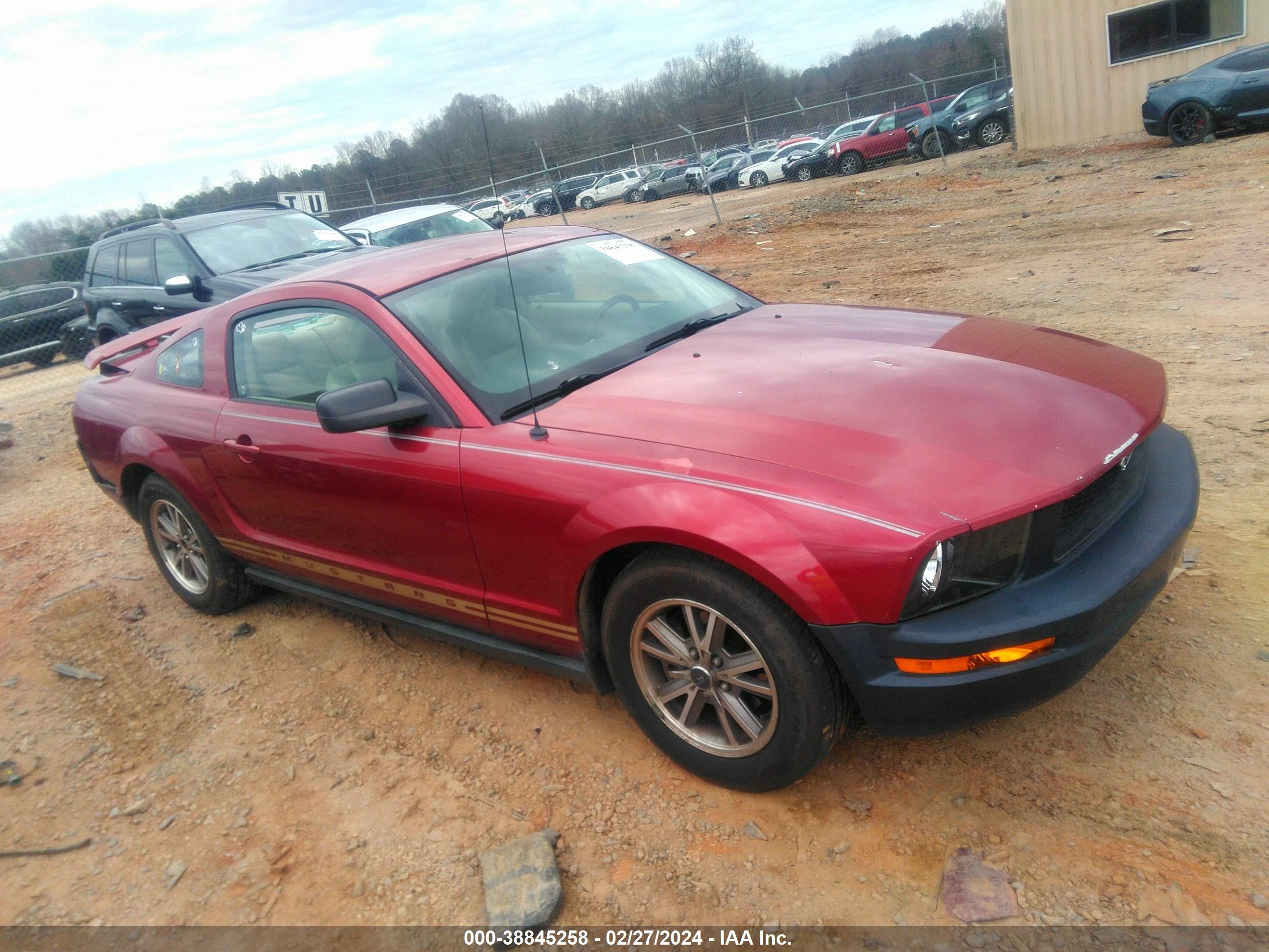 FORD MUSTANG 2005 1zvht80n555224408