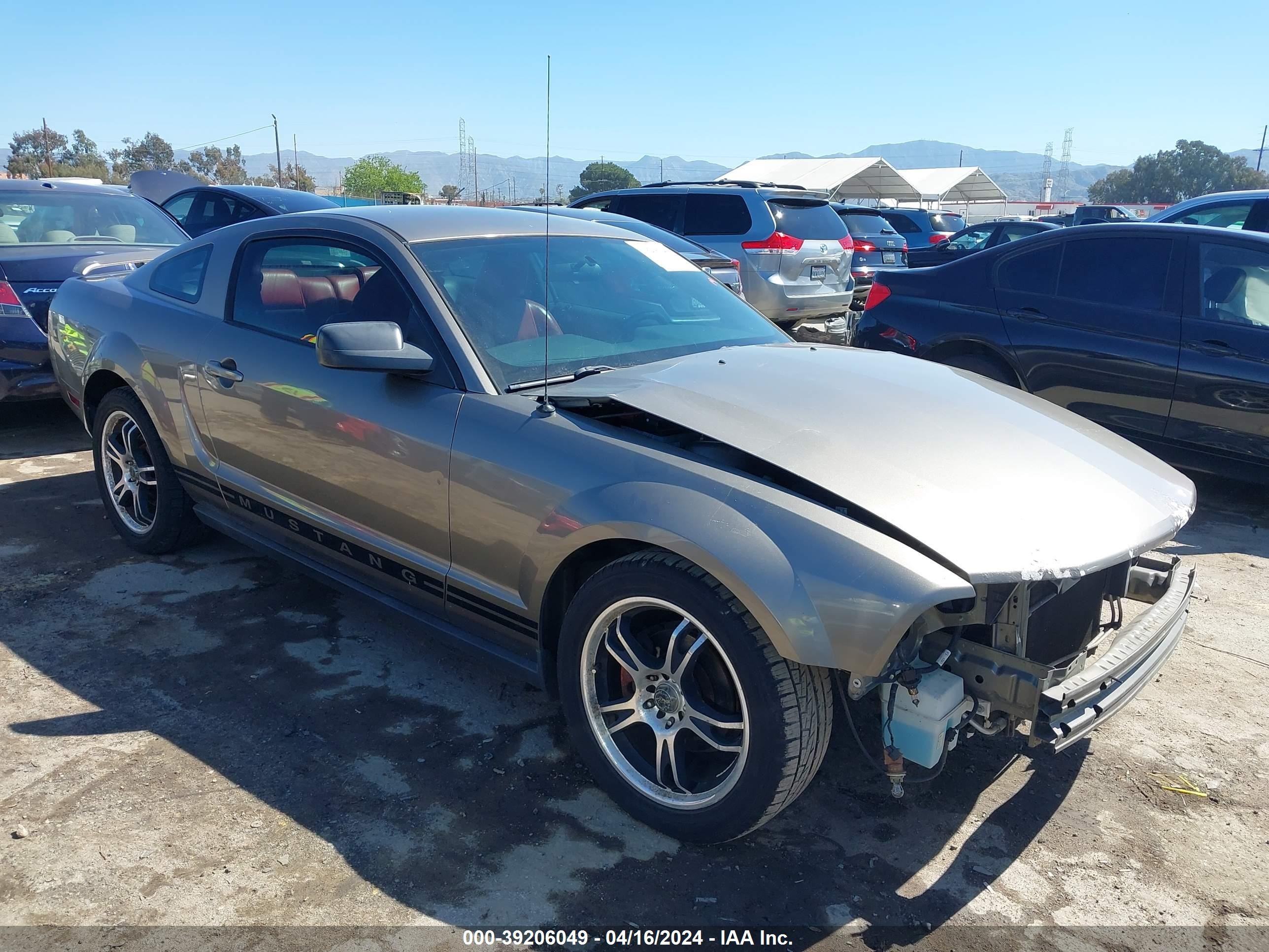 FORD MUSTANG 2005 1zvht80n555249471