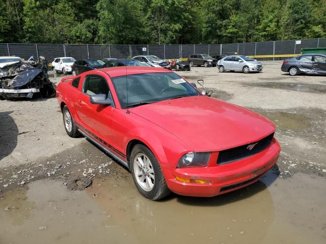 FORD MUSTANG 2006 1zvht80n565115643