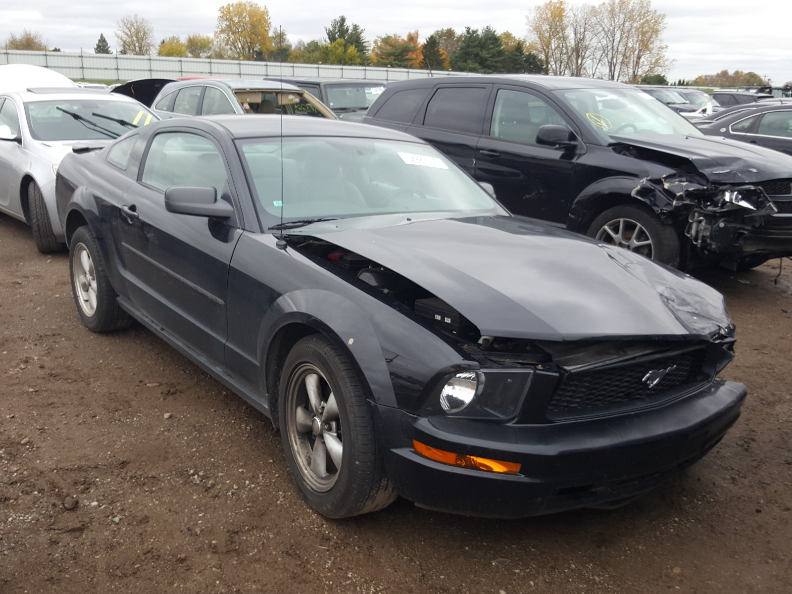 FORD MUSTANG 2008 1zvht80n685204477