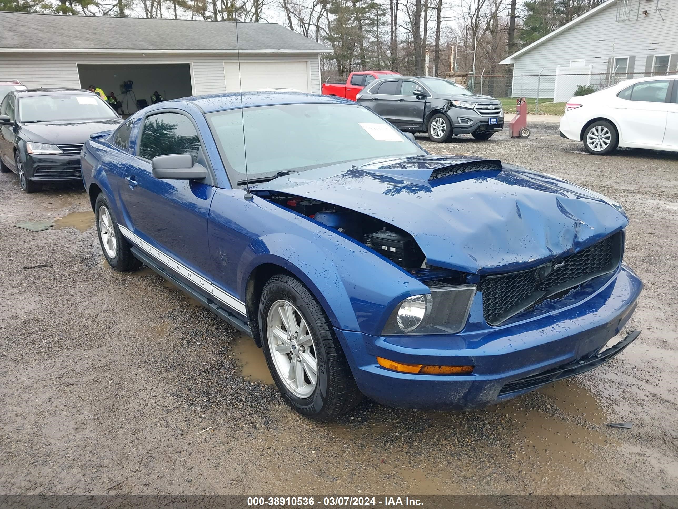 FORD MUSTANG 2009 1zvht80n695130477