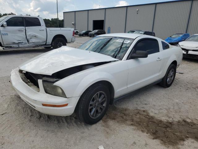 FORD MUSTANG 2007 1zvht80n775239480