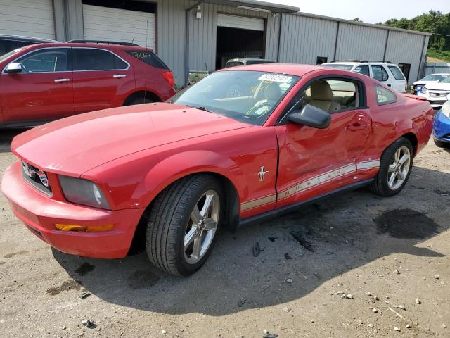 FORD MUSTANG 2008 1zvht80n785130972