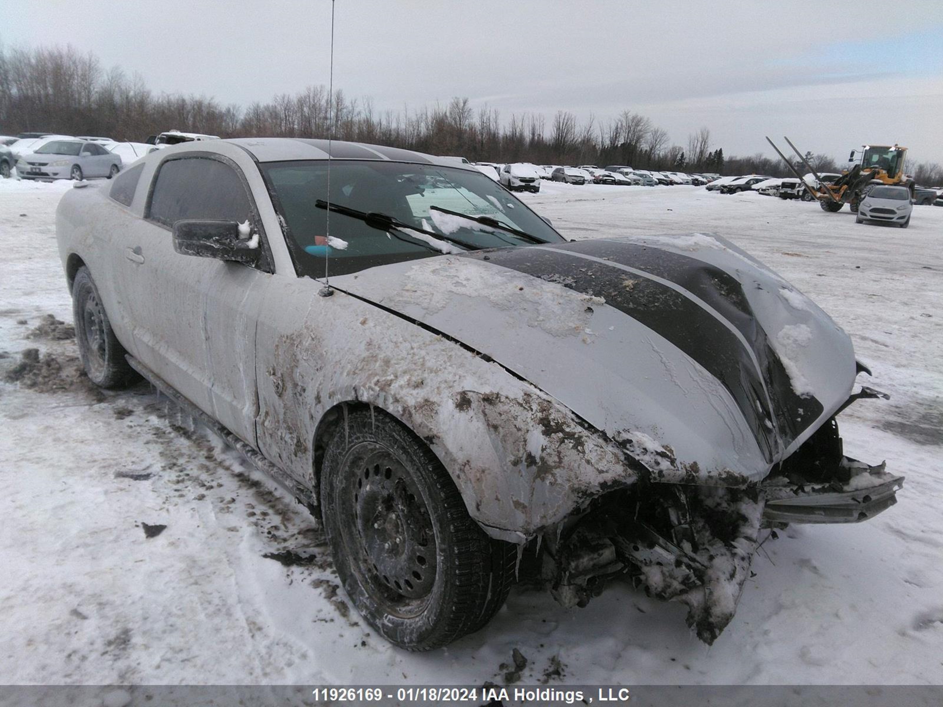 FORD MUSTANG 2009 1zvht80n795103269