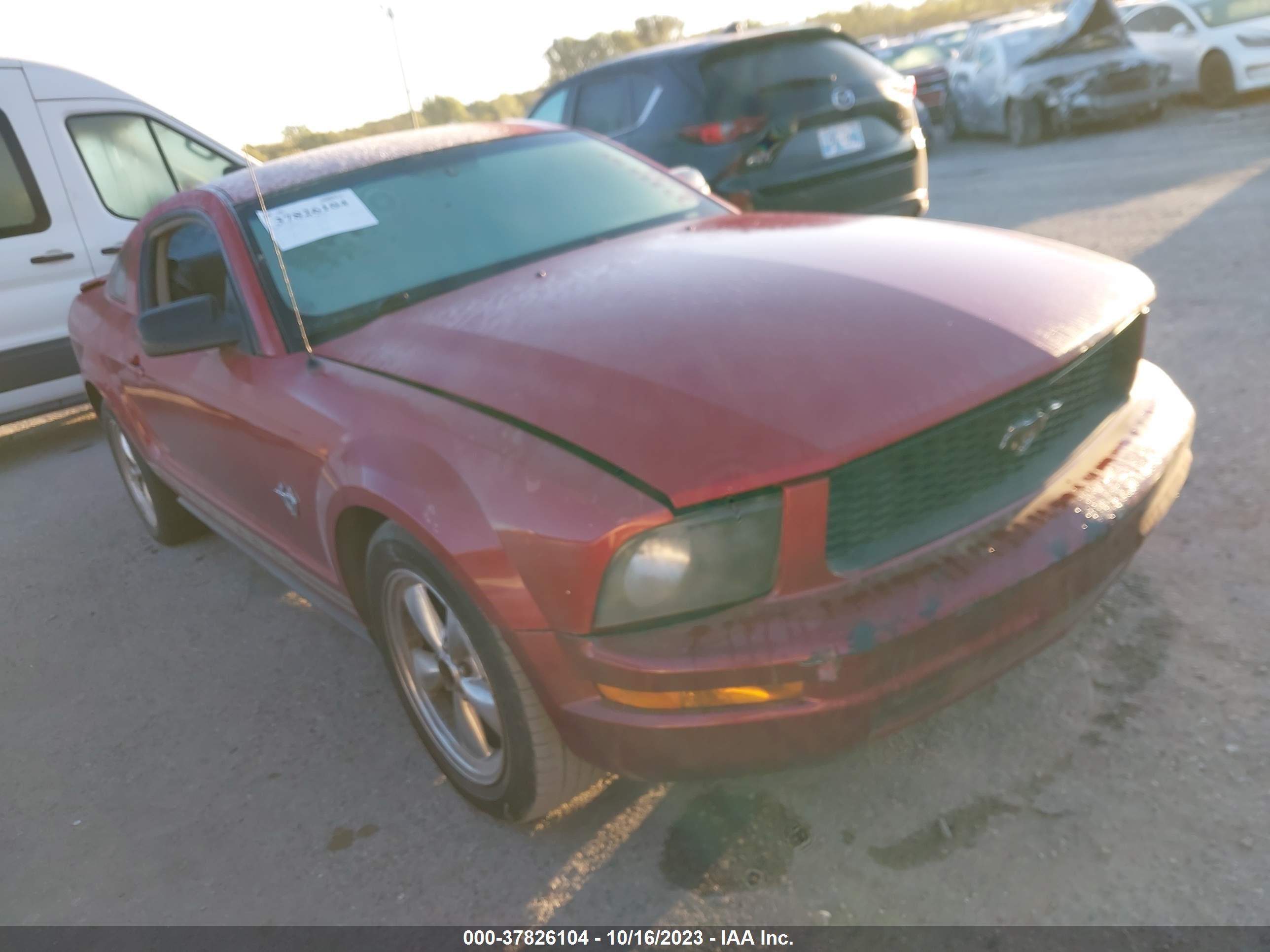 FORD MUSTANG 2009 1zvht80n895115608