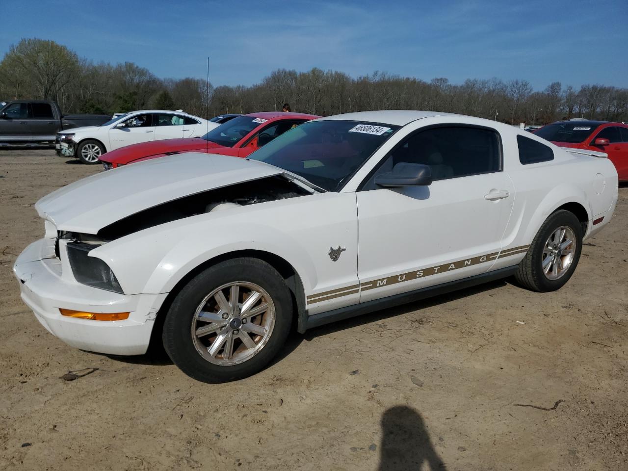 FORD MUSTANG 2009 1zvht80n895141531