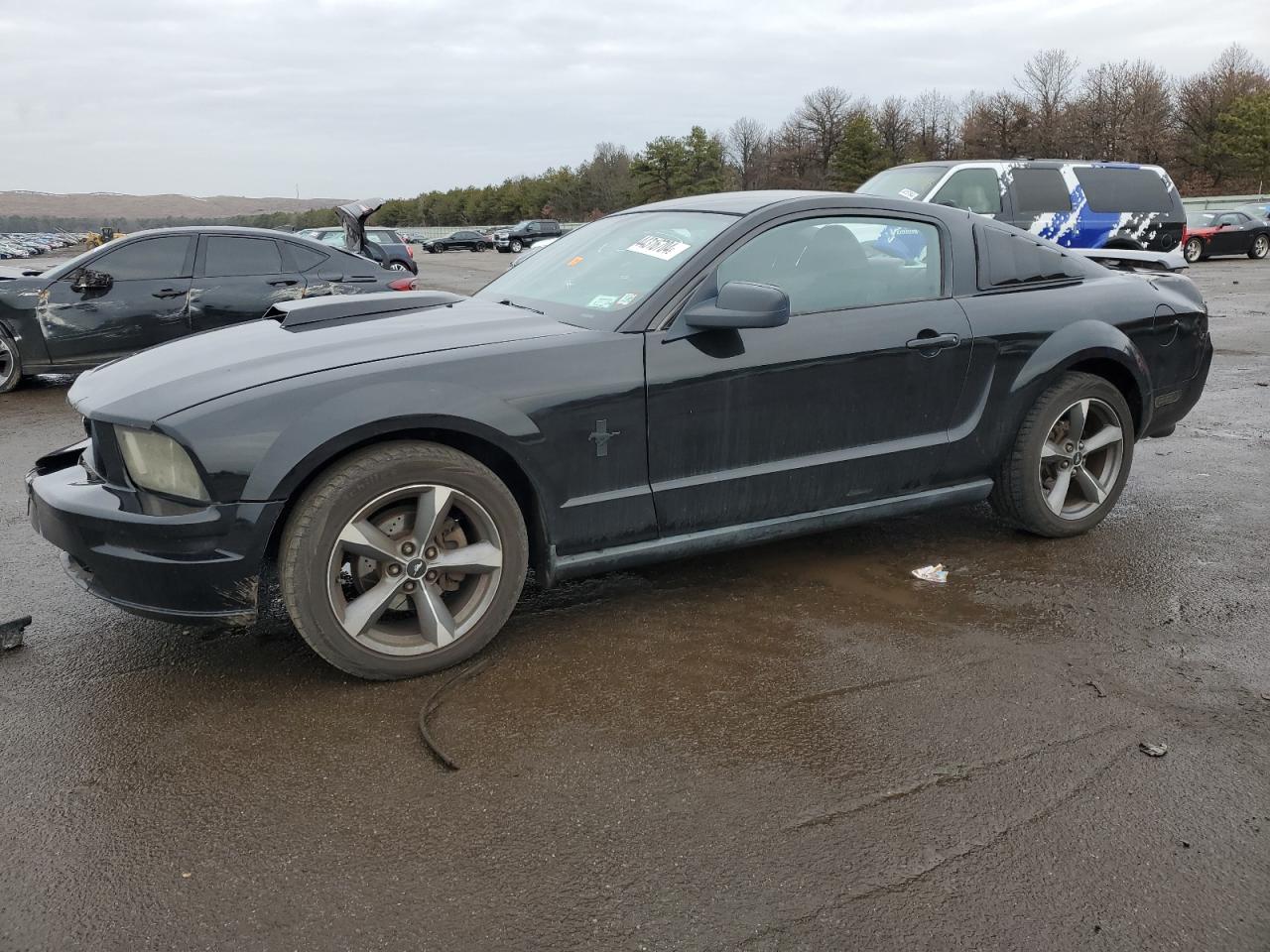 FORD MUSTANG 2006 1zvht80n965236434