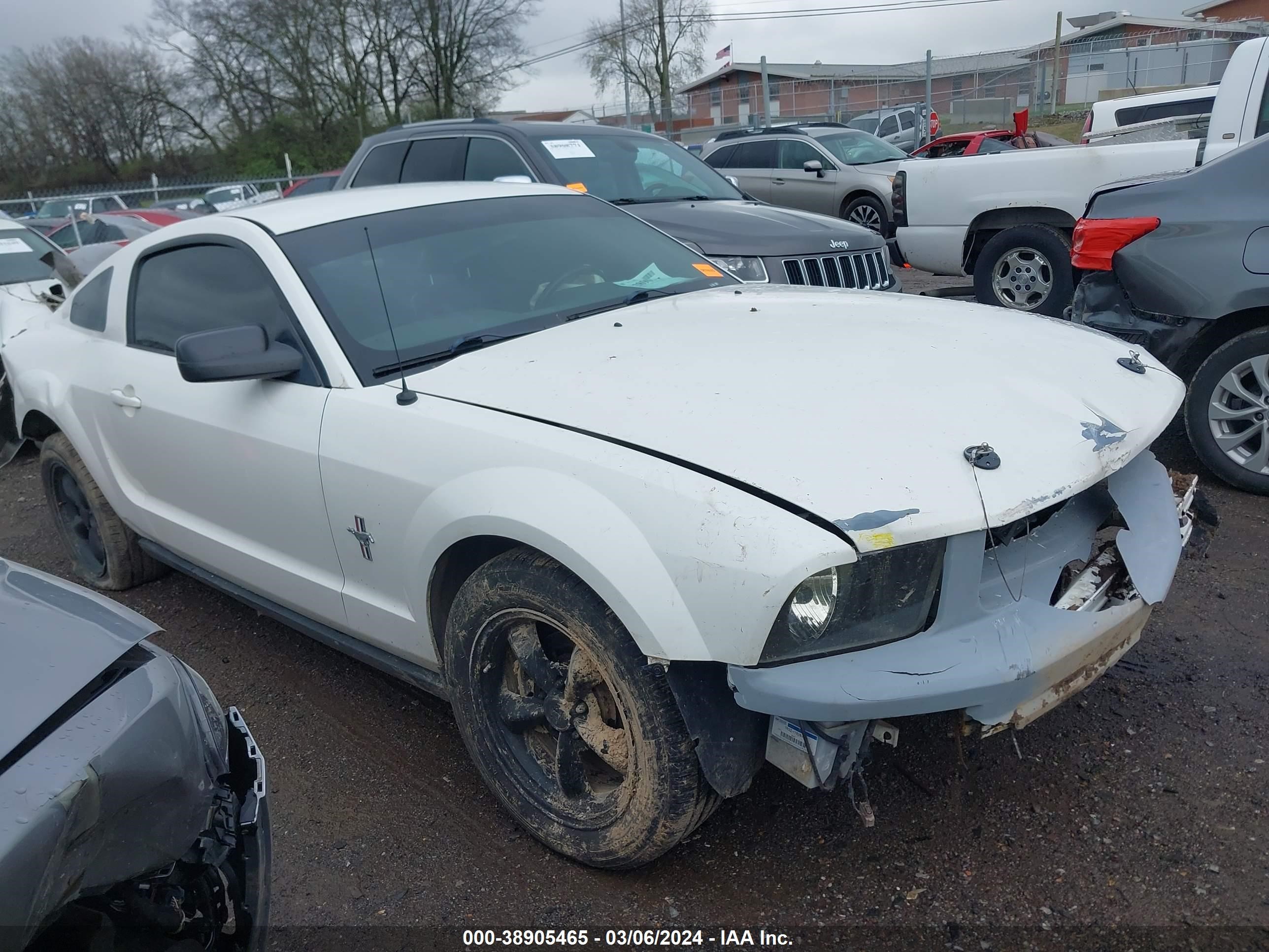 FORD MUSTANG 2006 1zvht80n965242962