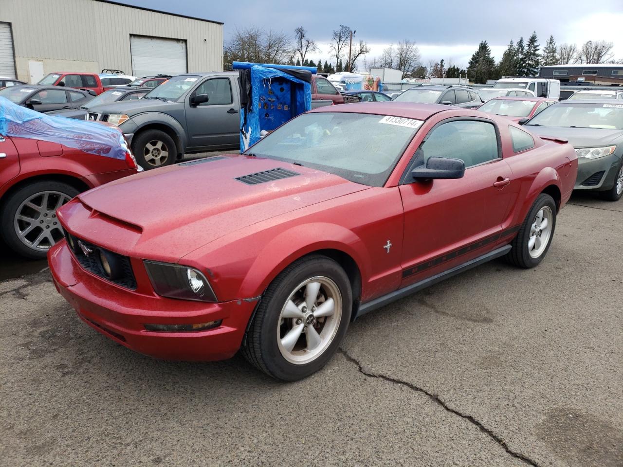 FORD MUSTANG 2008 1zvht80n985157087