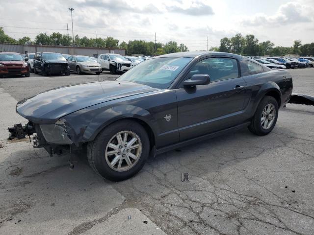 FORD MUSTANG 2009 1zvht80n995126522