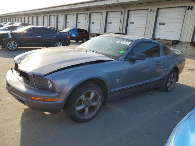 FORD MUSTANG 2006 1zvht80nx65103200