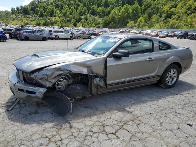 FORD MUSTANG 2008 1zvht80nx85191300