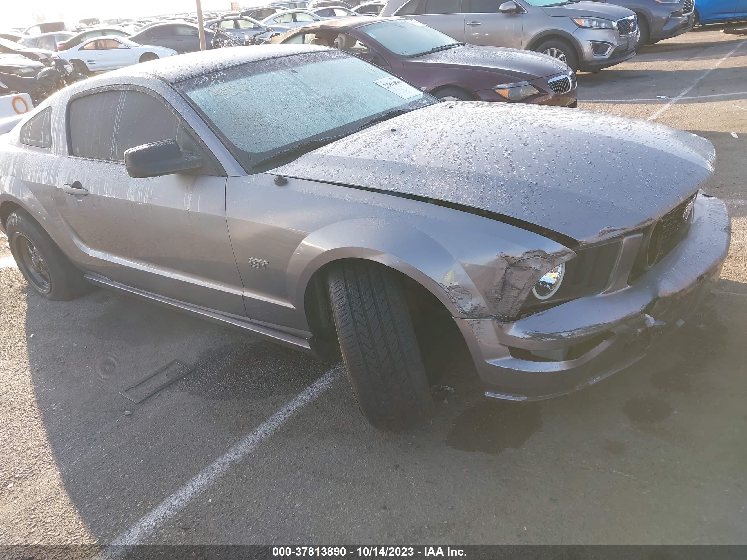 FORD MUSTANG 2006 1zvht82h065172050