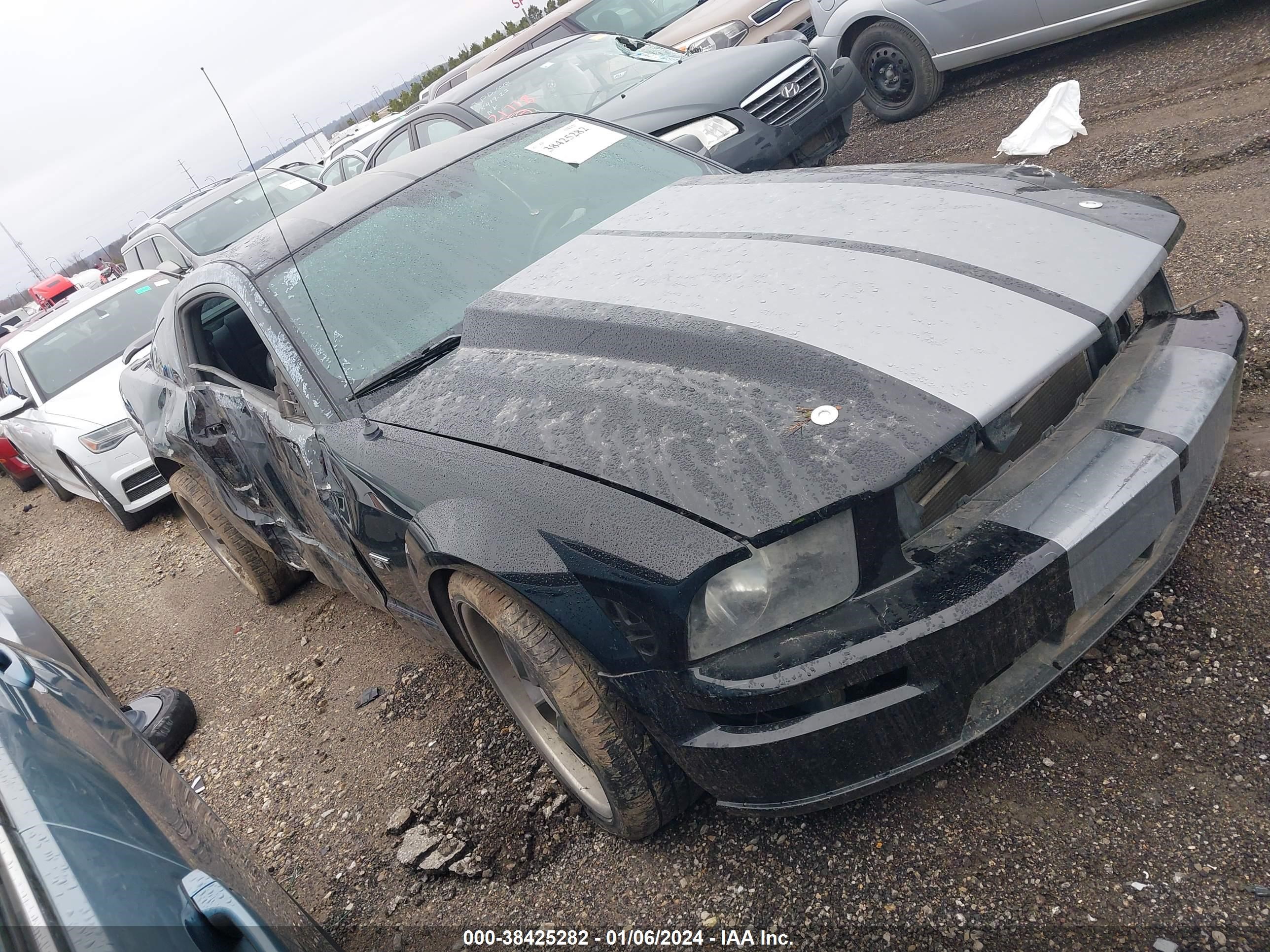 FORD MUSTANG 2006 1zvht82h065245028