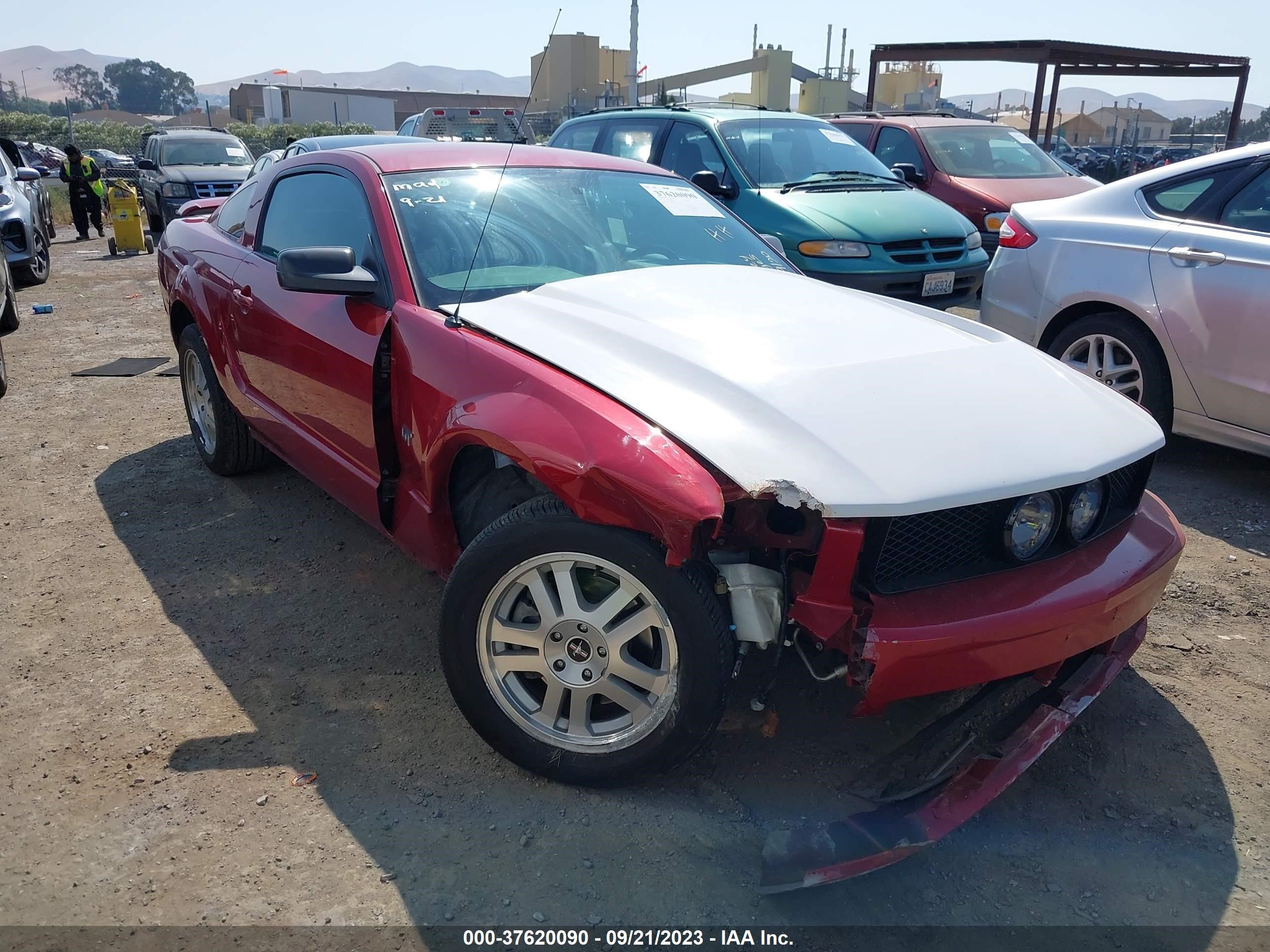 FORD MUSTANG 2008 1zvht82h085162539