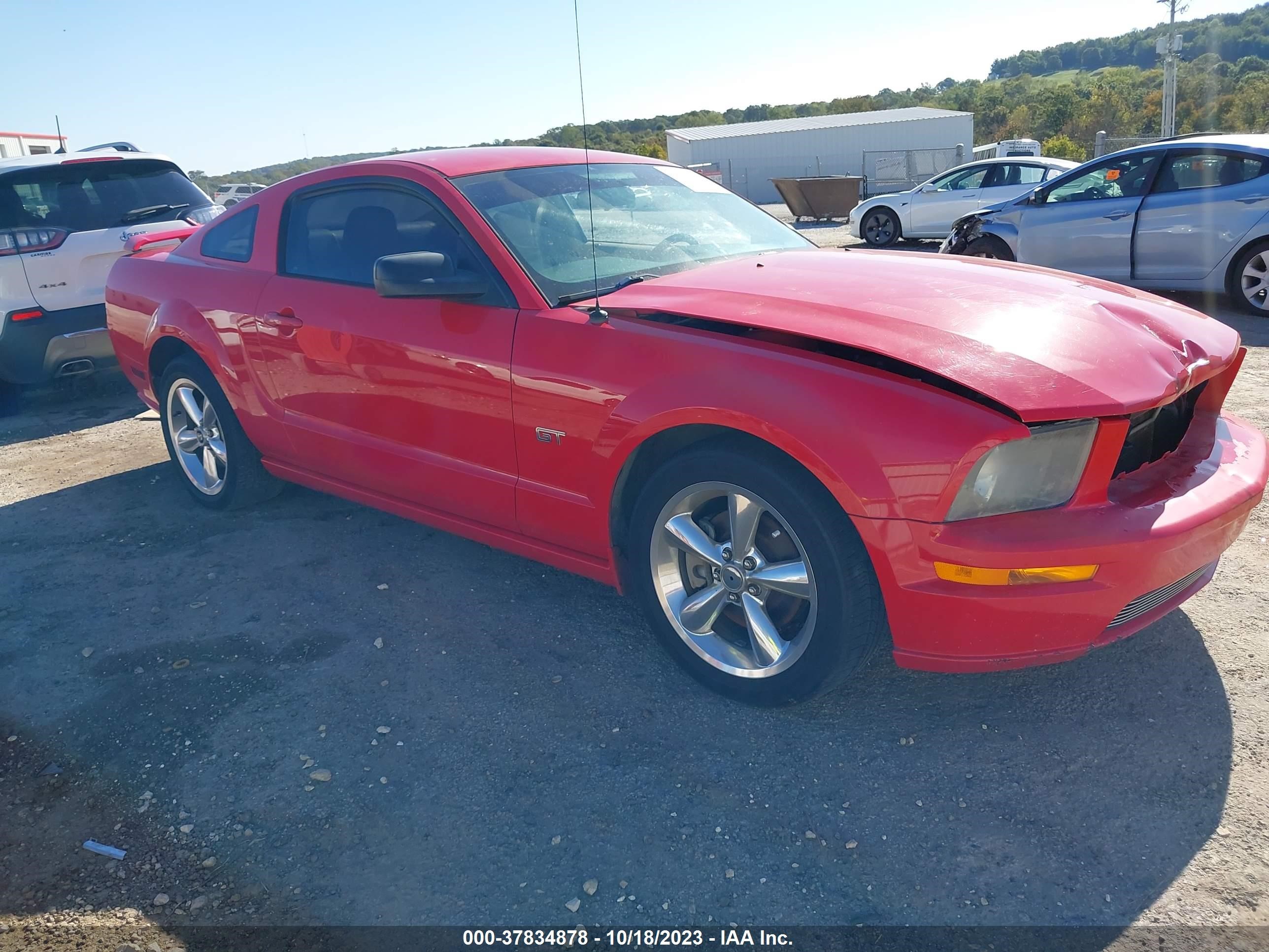 FORD MUSTANG 2006 1zvht82h165191254