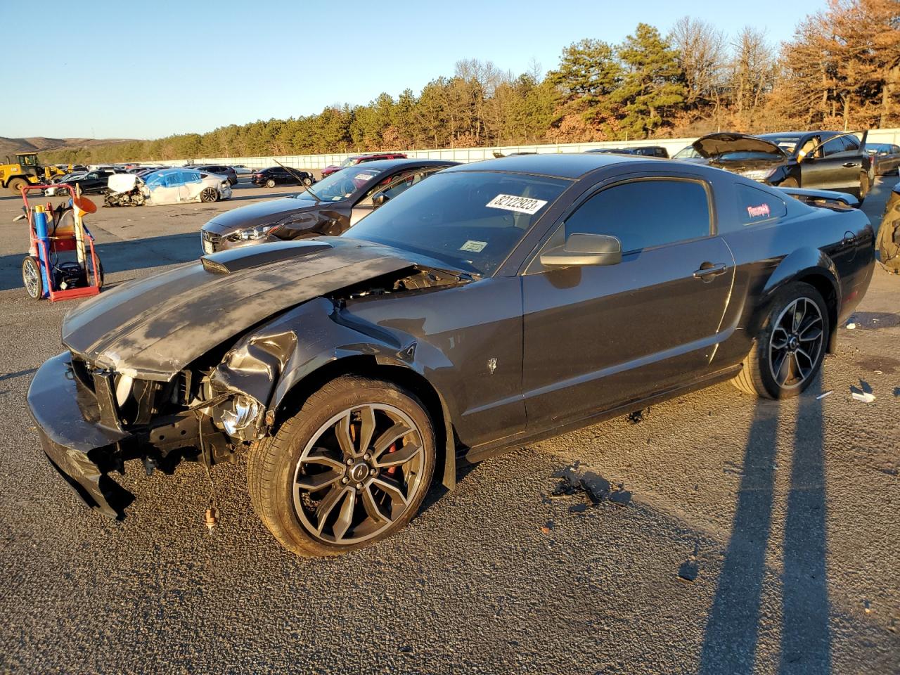 FORD MUSTANG 2007 1zvht82h175198660