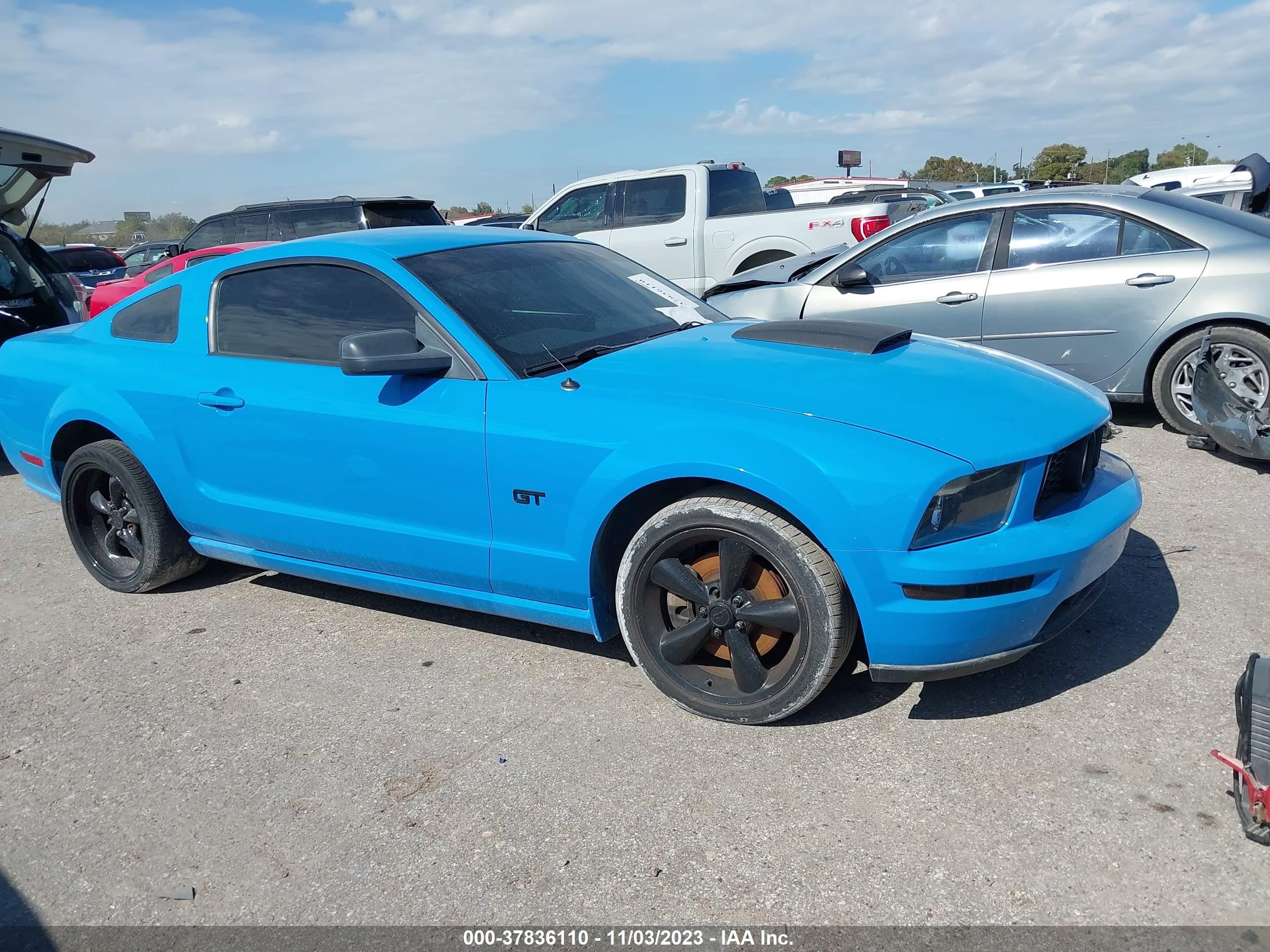 FORD MUSTANG 2006 1zvht82h265232846