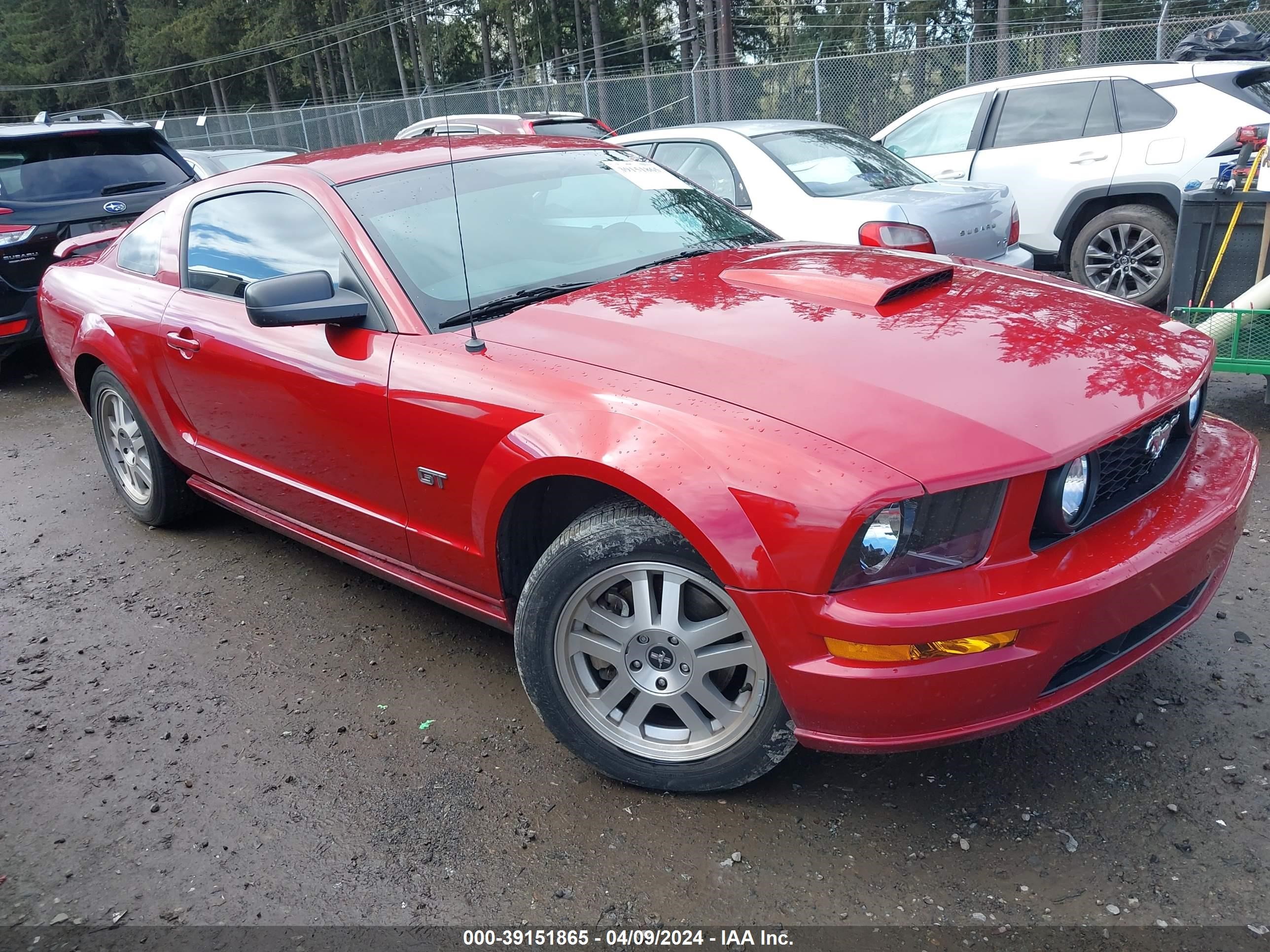 FORD MUSTANG 2008 1zvht82h285116646