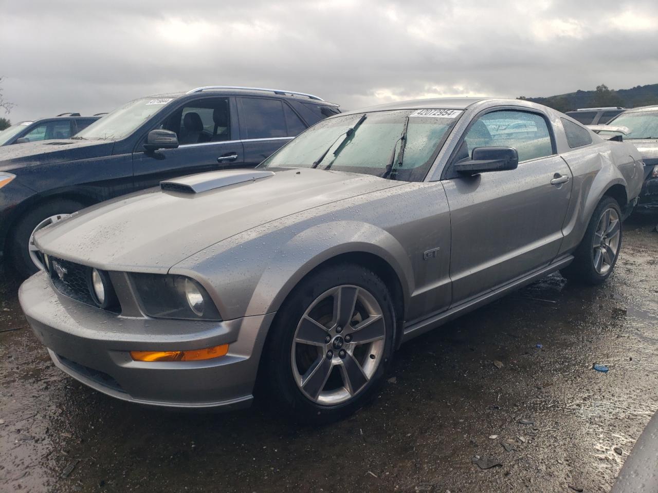 FORD MUSTANG 2008 1zvht82h285165104