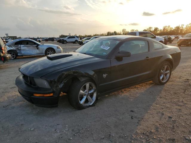 FORD MUSTANG 2009 1zvht82h295113327