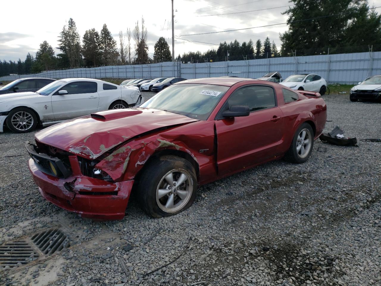 FORD MUSTANG 2007 1zvht82h375320418