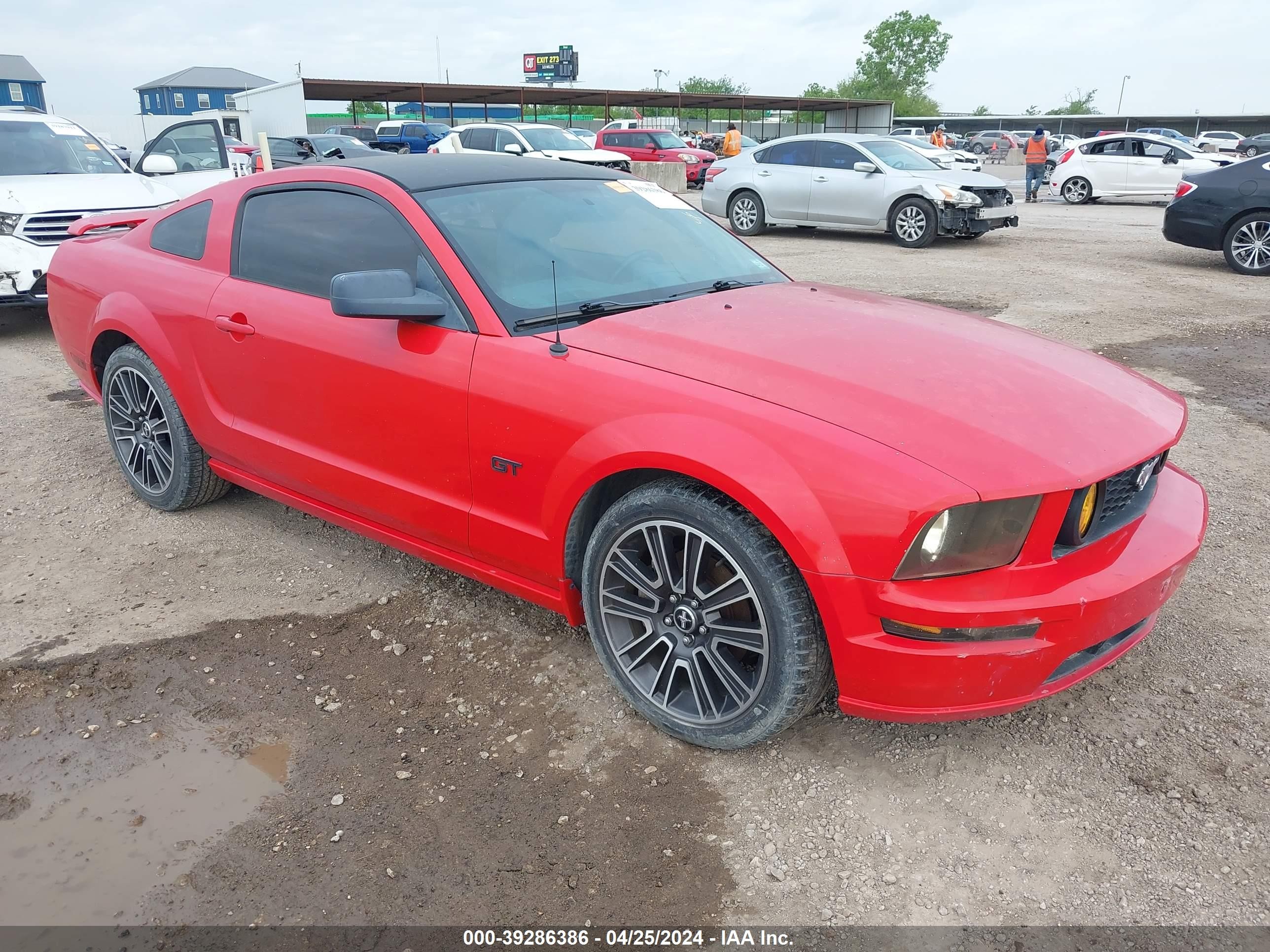 FORD MUSTANG 2005 1zvht82h455224116