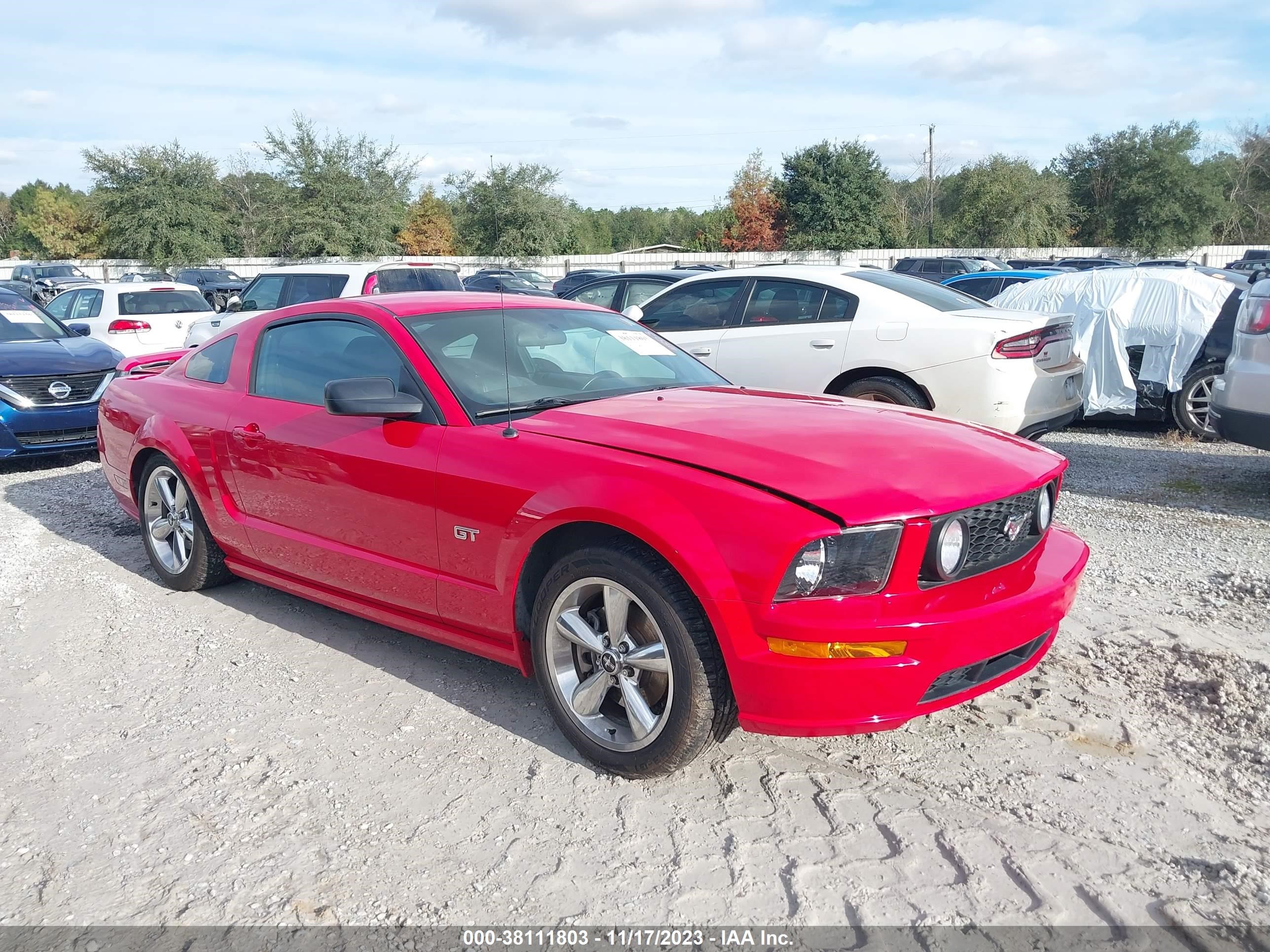 FORD MUSTANG 2006 1zvht82h465166512