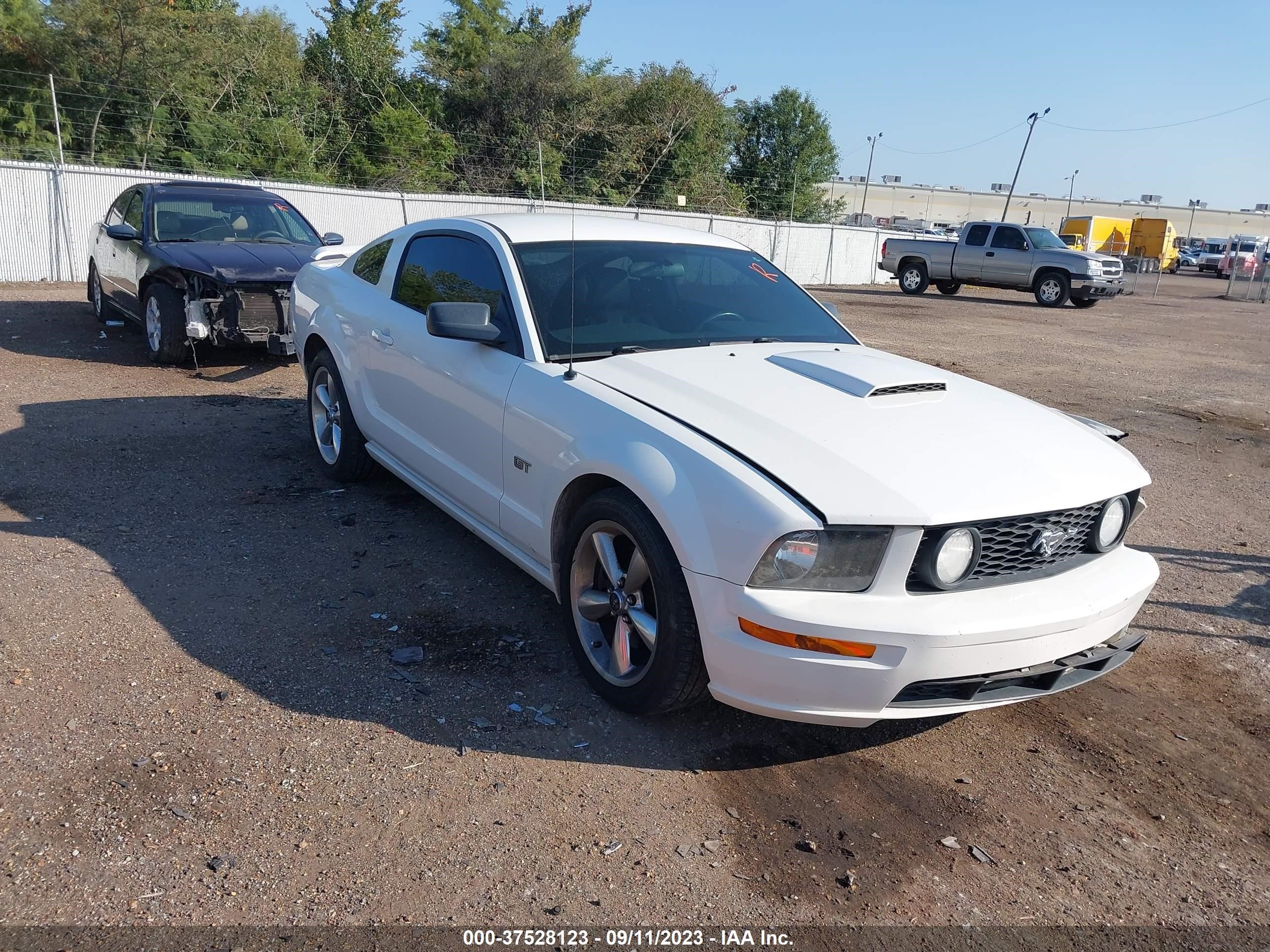 FORD MUSTANG 2008 1zvht82h485178680