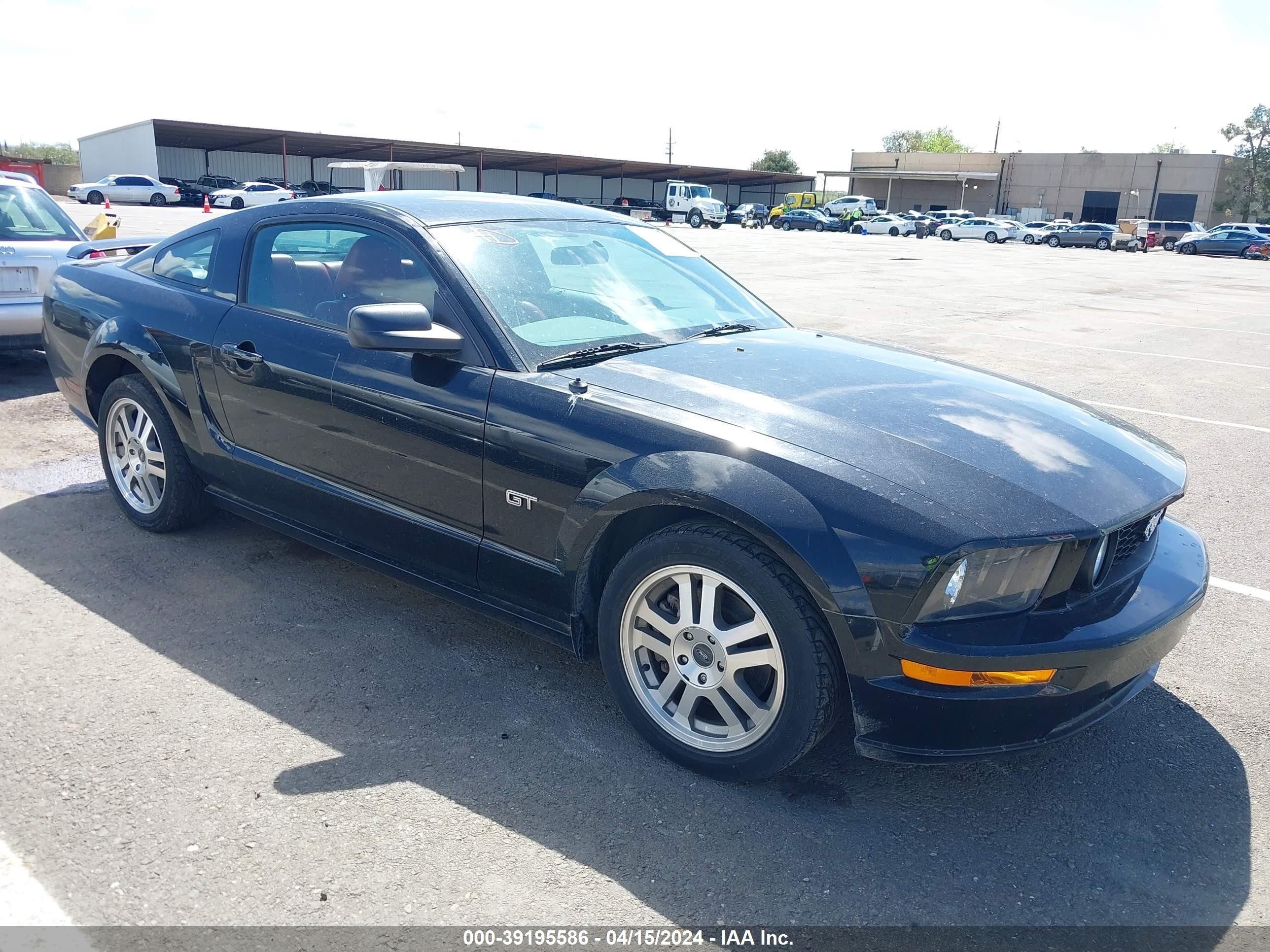 FORD MUSTANG 2005 1zvht82h555128480