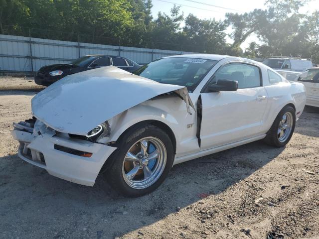 FORD MUSTANG 2006 1zvht82h565195808