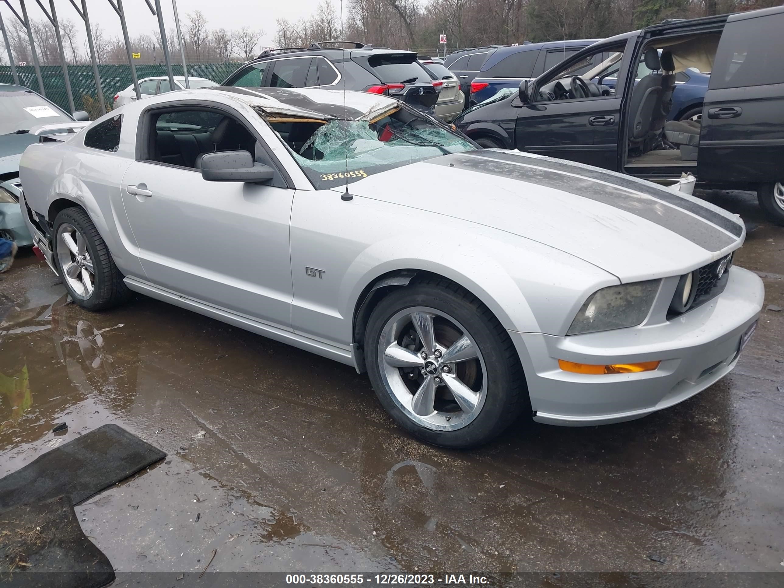 FORD MUSTANG 2006 1zvht82h565256588