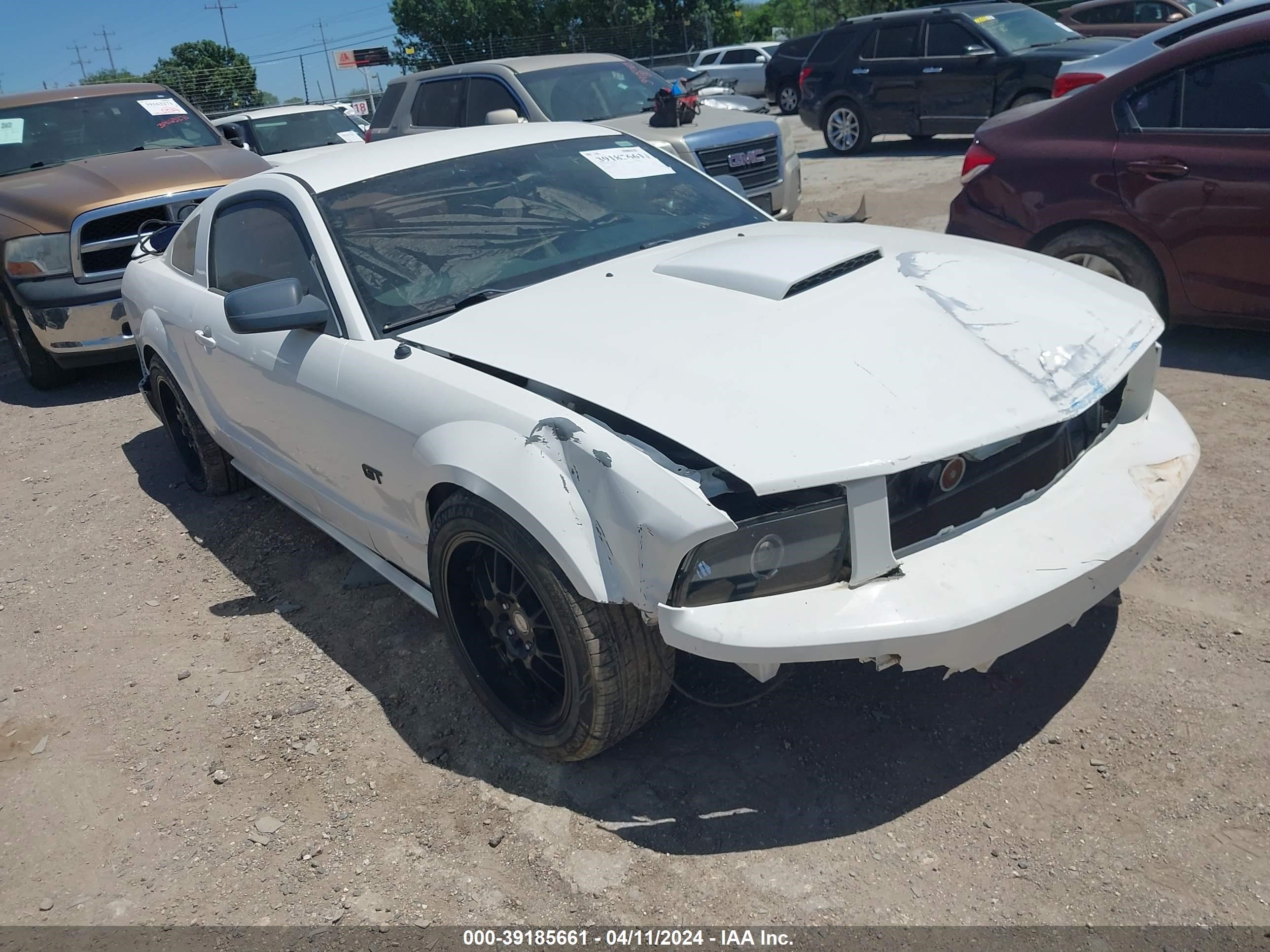 FORD MUSTANG 2008 1zvht82h585132176