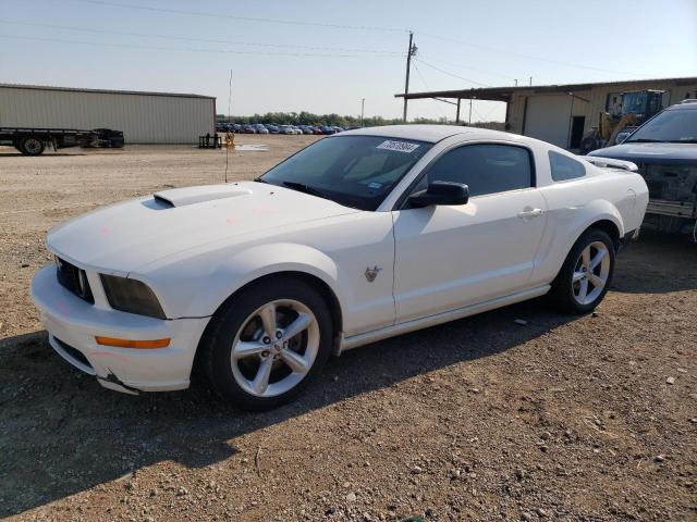 FORD MUSTANG GT 2009 1zvht82h595122569