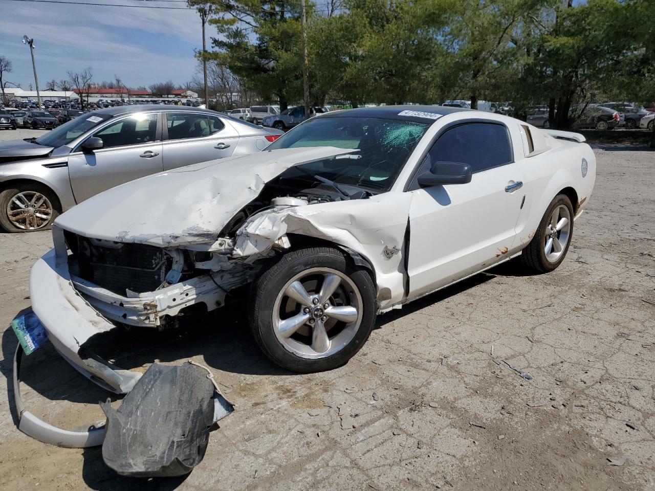 FORD MUSTANG 2009 1zvht82h595126976