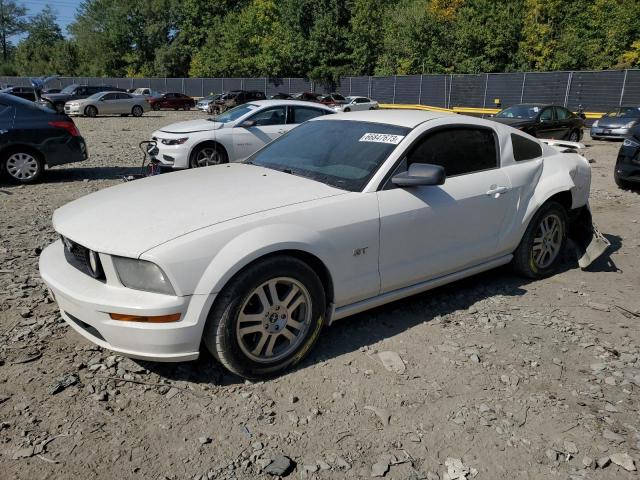 FORD MUSTANG 2006 1zvht82h665254350