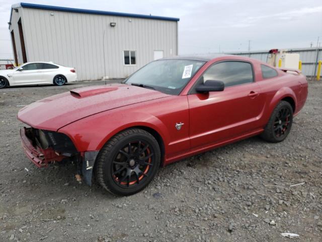 FORD MUSTANG 2009 1zvht82h695114481