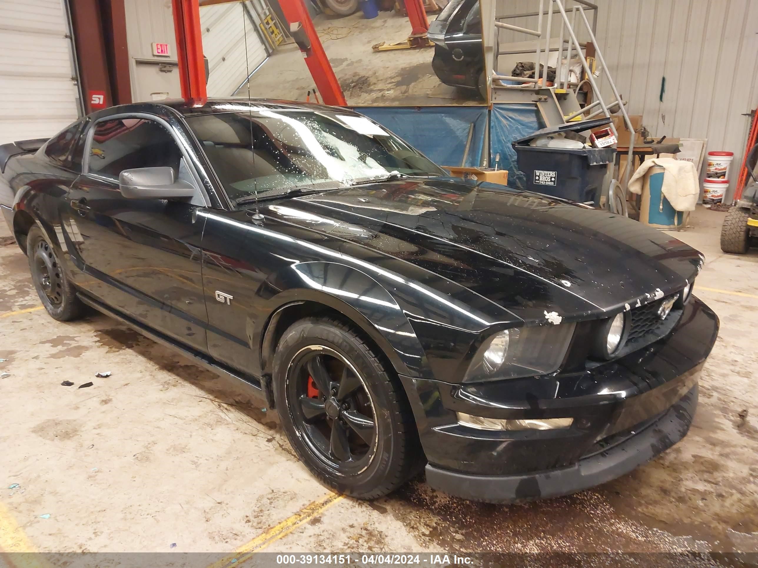 FORD MUSTANG 2006 1zvht82h765116414