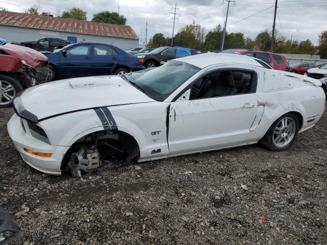 FORD MUSTANG 2008 1zvht82h785135676