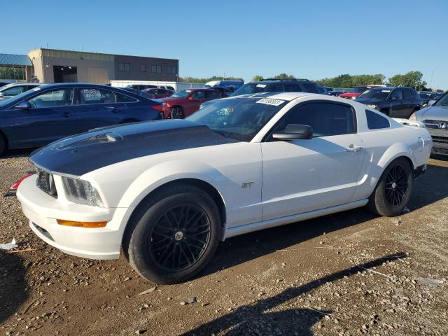 FORD MUSTANG 2008 1zvht82h785152445