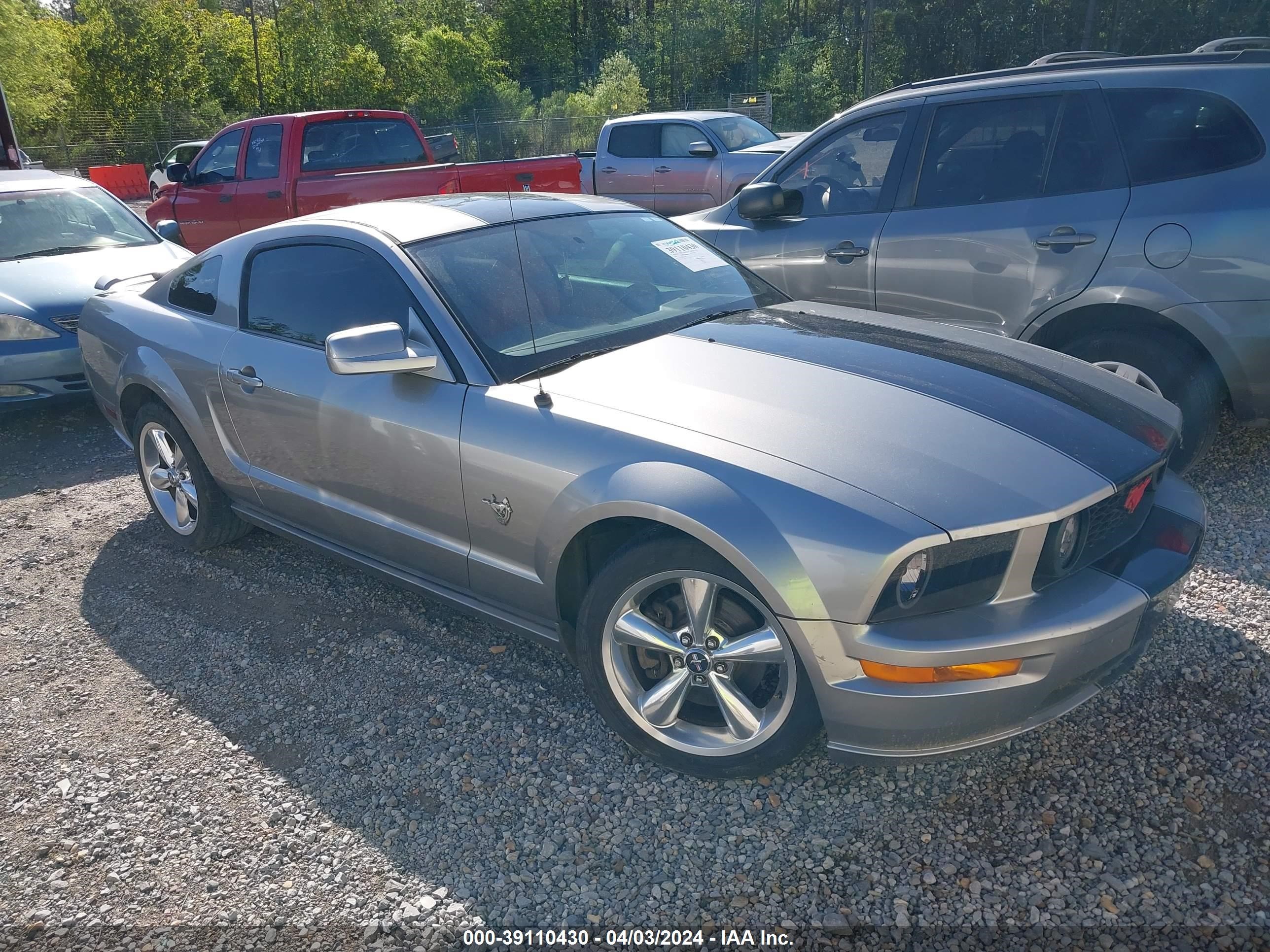 FORD MUSTANG 2009 1zvht82h895126843