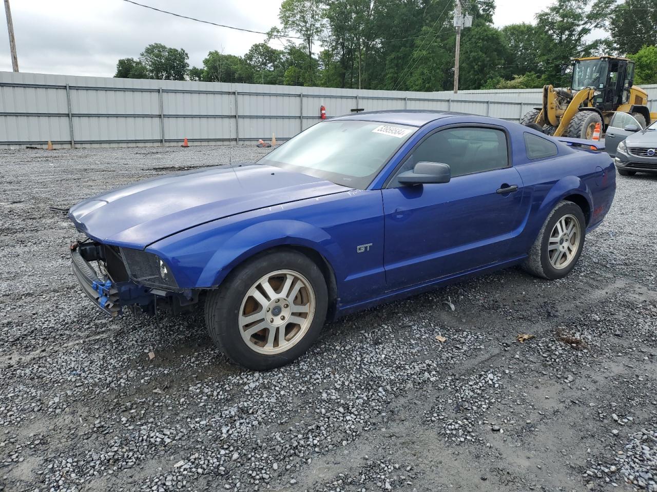 FORD MUSTANG 2005 1zvht82h955147811