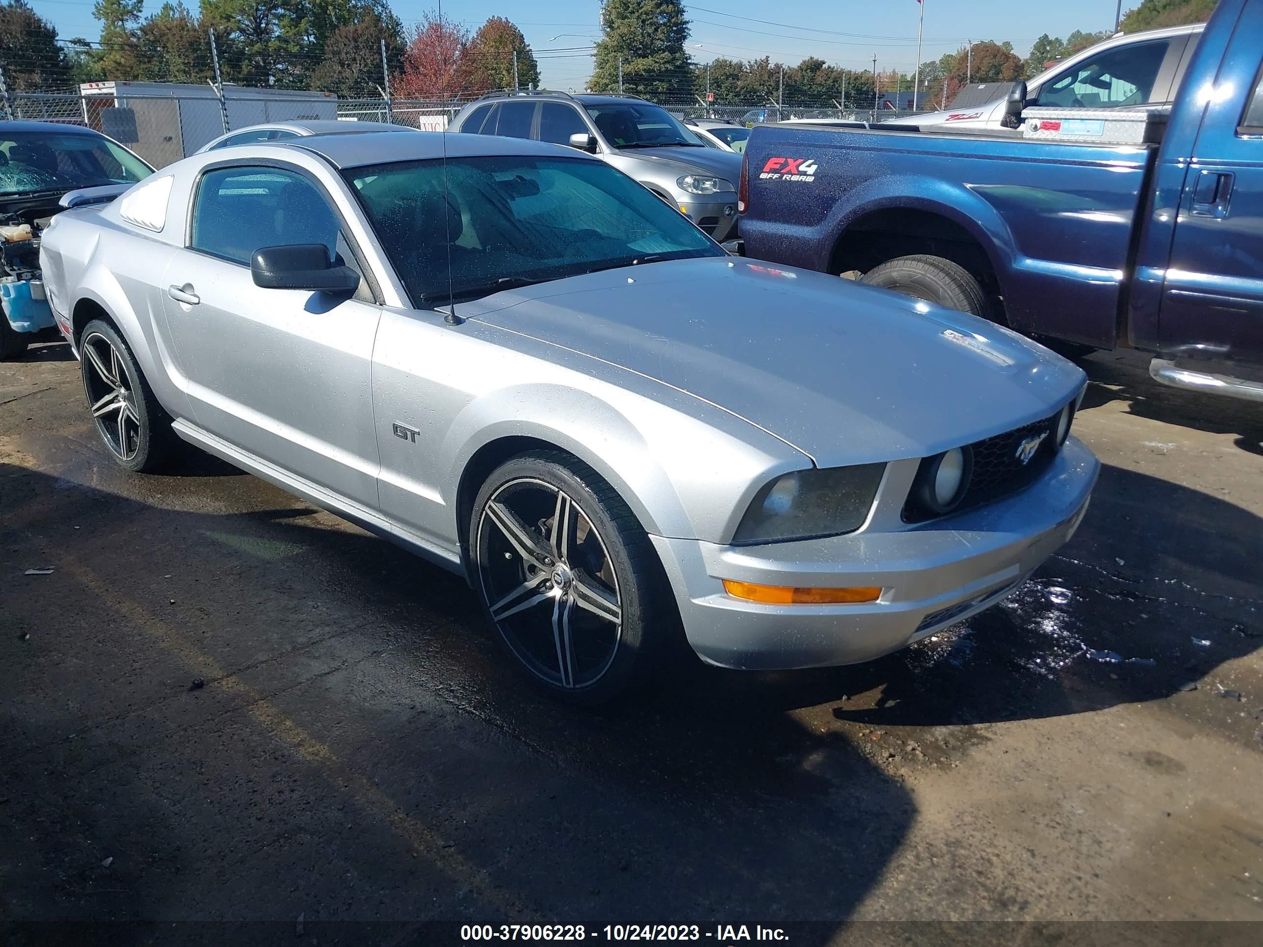 FORD MUSTANG 2006 1zvht82h965218149