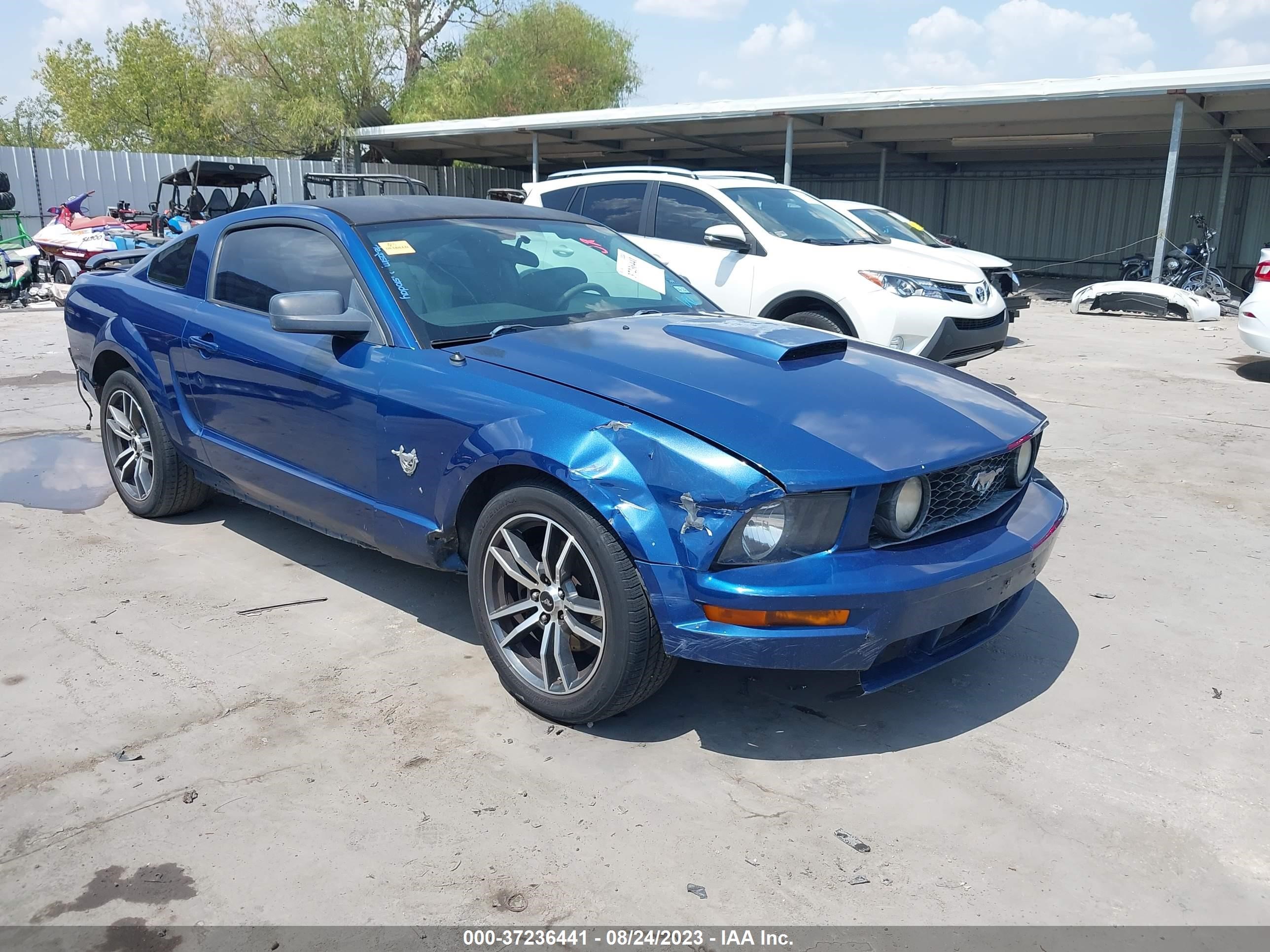 FORD MUSTANG 2009 1zvht82h995102504