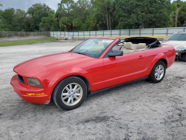 FORD MUSTANG 2006 1zvht84n065149631